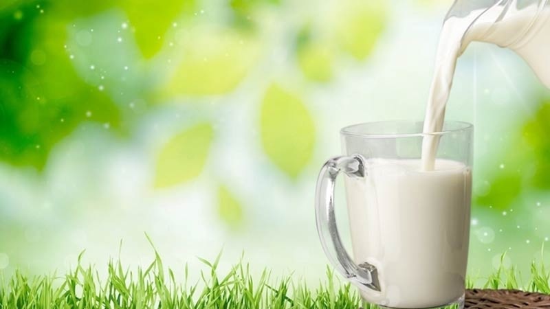 الحكومة تحدد المخزون التعديلي من الحليب الطازج المعقم